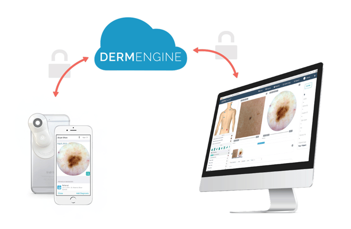 DermEngine-connectivity